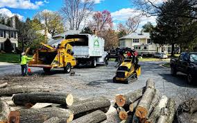  Ridgeway, VA Tree Services Pros