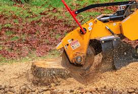 Best Tree Preservation Services  in Ridgeway, VA